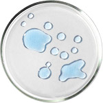 Amino Acids - NMF Skincare