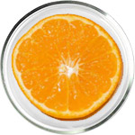 Hyaluronic Acid Skincare