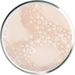 Lactic Acid Skincare