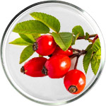 Rosehip Oil Skincare