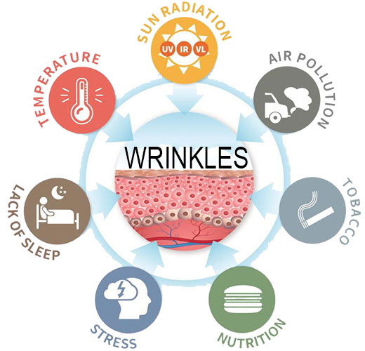 External factors wrinkles